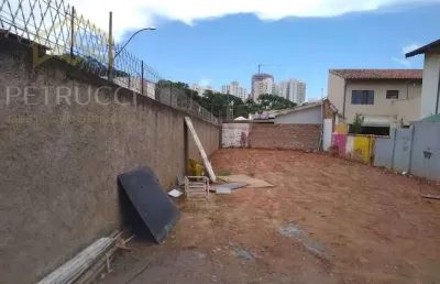 Terreno comercial para venda e locação, bosque, campinas - te1816.