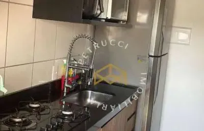Apartamento à venda no jardim ipassurama, campinas/sp