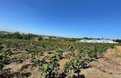 Área à venda, 45500 m² por r$ 4.880.000,00 - jardim são domingos - campinas/sp