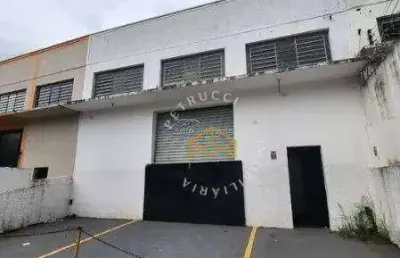Barracão para alugar, 246 m² por r$ 8.462,00/mês - jardim do trevo - campinas/sp