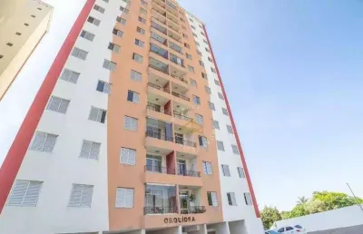 Apartamento com 3 dormitórios à venda, 74 m² - jardim anton von zuben - campinas/sp
