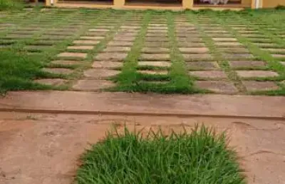 Fazenda à venda na Rua Paulo Tardivo, 20, Centro, Brotas