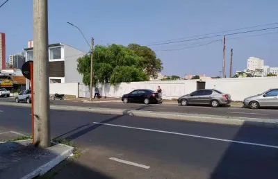 Ótimo terreno murado na av. são carlos com saída na episcopal, visibilidade para vários negócios.
