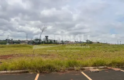 Terreno comercial para alugar na Rua Engenheiro Marco Antonio Nagliati, 3028, Monjolinho, São Carlos