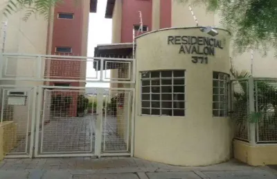 Apartamento com 2 quartos para alugar na Rua Alvarenga Peixoto, Bloco I, 371, Parque Arnold Schimidt, São Carlos
