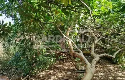 Terreno à venda na Rua Marechal Deodoro, 3942, Vila Faria, São Carlos
