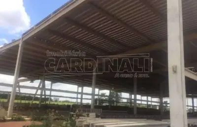 Barracão / Galpão / Depósito para alugar na Rua Olavio Apreia, Setor 7 ÁRea D (Rod. Washington Luiz Km 250 Ct Pre Moldados), Distrito Industrial, Ibaté