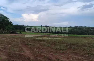 Fazenda à venda na Sitio Arapongas, Atras Da Eletrolux, S/N, Água Vermelha, São Carlos