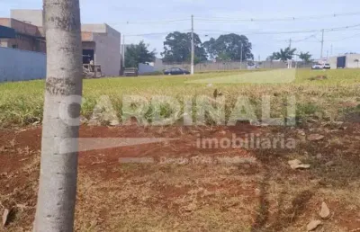 Terreno em condomínio fechado à venda na Avenida Francisco Falvo, 876, Residencial Samambaia, São Carlos