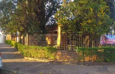 Casa com 3 quartos para alugar na Avenida Mário H. Arita, 581, Jardim Primavera, Araraquara