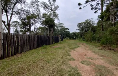 Terreno à venda na Estrada da Roseira, 00, Borda do Campo, São José dos Pinhais