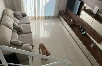 Casa com 3 quartos à venda na água fria, são paulo , 130 m2 por r$ 1.190.000