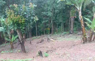 Terreno à venda no Terra Preta, Mairiporã 