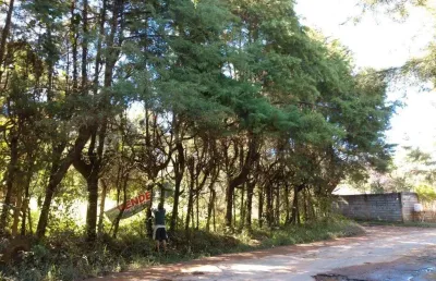 Terreno à venda no Mato Dentro, Mairiporã 