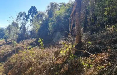 Chácara / sítio à venda na Estrada Dom Dorigo, Itambé, Campo Largo