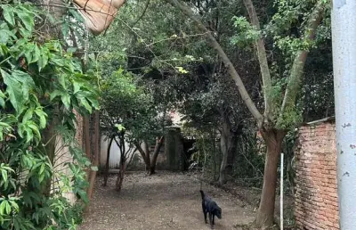 Chácara / sítio para alugar na Rua Tucuna, Pompéia, São Paulo