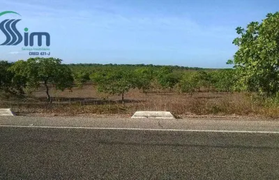 Terreno à venda, 98.000 m² por r$ 350.000 - curimatã - pacajús/ce