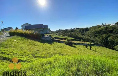 Terreno à venda, 1300 m² por r$ 550.000,00 - vila torres i - campo largo/pr