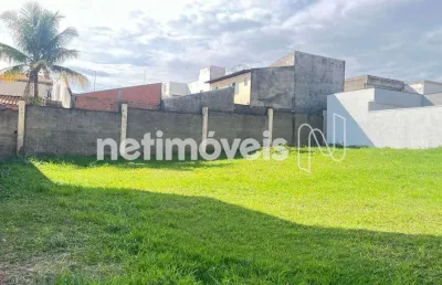 Terreno à venda na Avenida Lírio Correa, Parque Nova Carioba, Americana