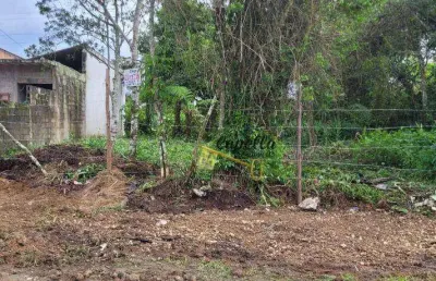 Terreno à venda, 260 m² por r$ 79.900,00 - jardim das palmeiras - itanhaém/sp
