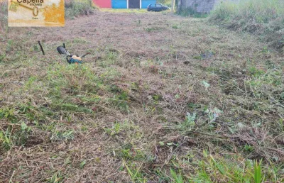 Terreno à venda, 300 m² por r$ 120.000,00 - jardim são fernando - itanhaém/sp