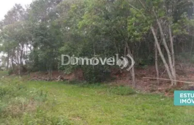 Chácara / sítio à venda na estrada antônio borges, 1523, belém velho, porto alegre por r$ 1.600.000