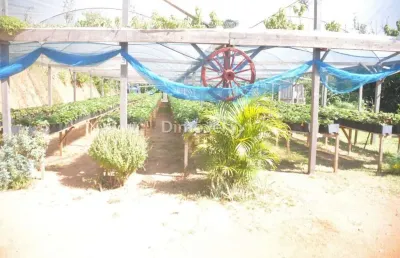 Chácara / sítio com 3 quartos à venda na estrada joão passuelo, 1150, vila nova, porto alegre por r$ 1.400.000