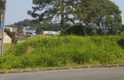 Terreno no anita garibaldi com 0 quartos para venda, 390 m²