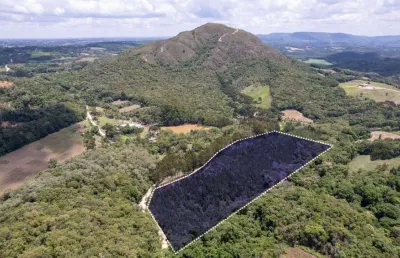 Terreno à venda na rua caetano munhoz da rocha, zona rural, campo largo por r$ 550.000