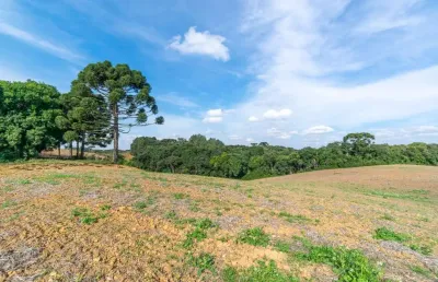 Chácara / sítio à venda na rua ignácio belinovski, colônia figueiredo, campo largo por r$ 1.050.000