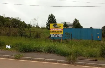 Terreno comercial à venda na Rua Coronel Monteiro, 519, Área Industrial, Campina Grande do Sul