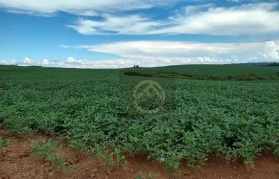Fazenda à venda, 2250600 m² por r$ 11.000.000,00 - centro - guarapuava/pr