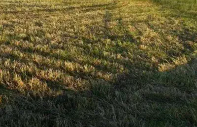 Fazenda à venda, 2758800 m² por r$ 30.000.000,00 - jardim vitória - turvo/pr