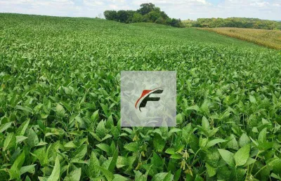 Chácara com 3 dormitórios à venda, 111000 m² por r$ 980.000,00 - zona rural - lapa/pr