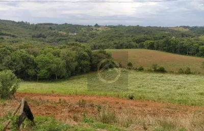Chácara com 4 dormitórios à venda, 38000 m² por r$ 1.500.000,00 - roça velha - são josé dos pinhais/pr