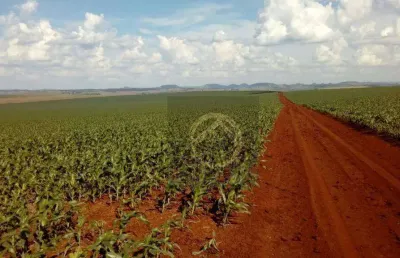 Fazenda à venda, 16431800 m² por r$ 260.000.000,00 - jardim lindóia - goioere/pr