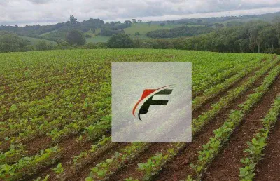 Chácara com 1 dormitório à venda, 137214 m² por r$ 1.300.000,00 - colônia balbino cunha - campo largo/pr