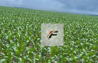 Fazenda à venda, 3218600 m² por r$ 24.800.000,00 - zona rural - guarapuava/pr