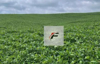 Área à venda, 11 alqueires por r$ 4.000.000 - centro - roncador/pr