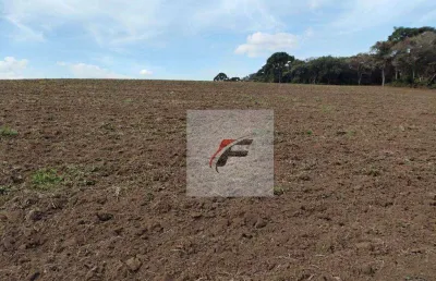 Fazenda à venda, 695266 m² por r$ 2.800.000,00 - zona rural - quitandinha/pr