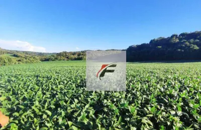 Área à venda, 193600 m² por r$ 1.680.000 - centro - lapa/pr