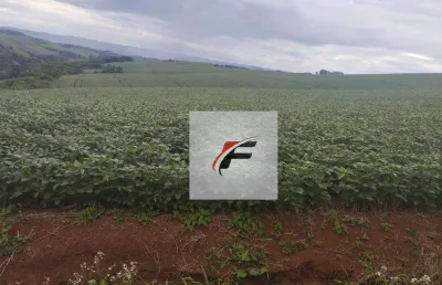 Fazenda com 3 dormitórios à venda, 871200 m² por r$ 11.263.500,00 - centro - guarapuava/pr