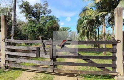 Fazenda a venda permuta 47 alqueires r$ 950.000 - zona rural - antonina/pr