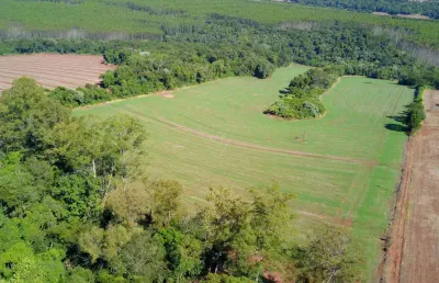 Sítio para venda, 10 alqueires em paiquere, londrina, pr
