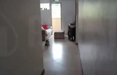 Apartamento com 2 quartos à venda na rua retiro dos artistas, pechincha, rio de janeiro, 70 m2 por r$ 319.000