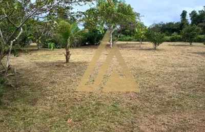 Vende-se terreno em iranduba com 1.250 m², no ramal paricatuba