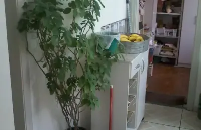 Apartamento com 3 quartos à venda na Rua Senador Fláquer, Centro, Santo André