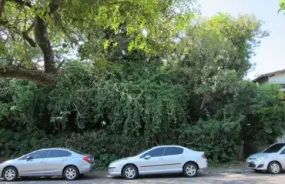 Terreno à venda na avenida feitoria, 1570, pinheiro, são leopoldo por r$ 1.281.000