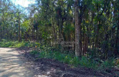 Terreno à venda na endereço não informado, américa de baixo, morretes, 7160 m2 por r$ 120.000