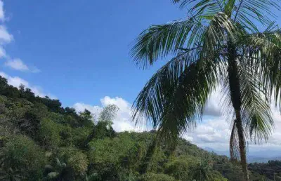 Terreno à venda na endereço não informado, rio sagrado, morretes, 1000 m2 por r$ 85.000